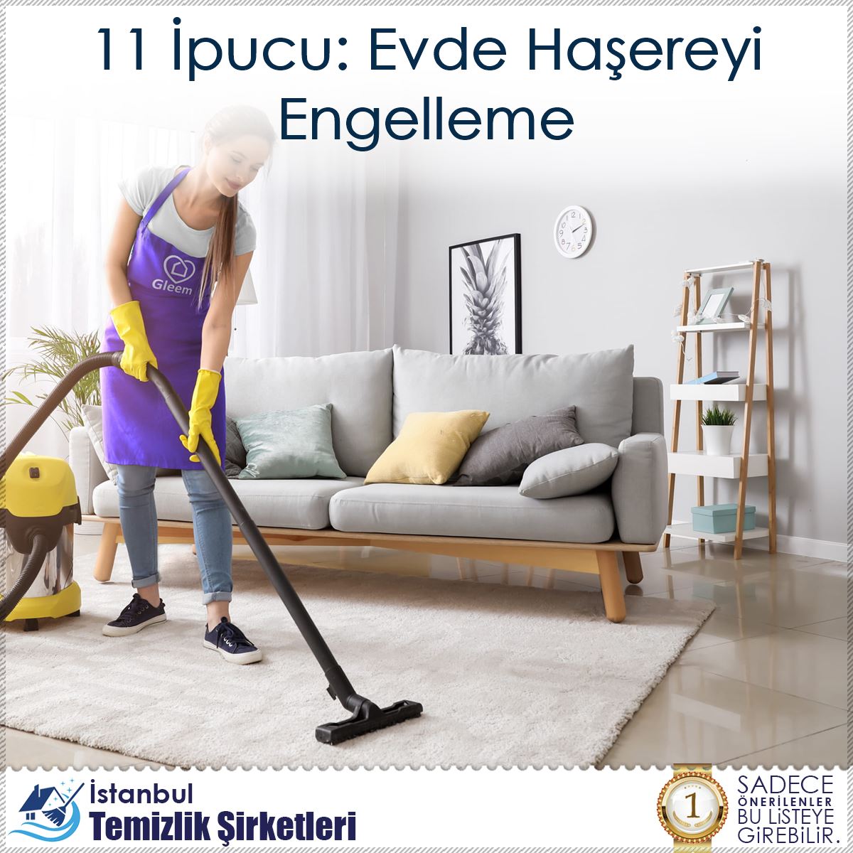 11 İpucu: Evde Haşereyi Engelleme : Kapak Görseli