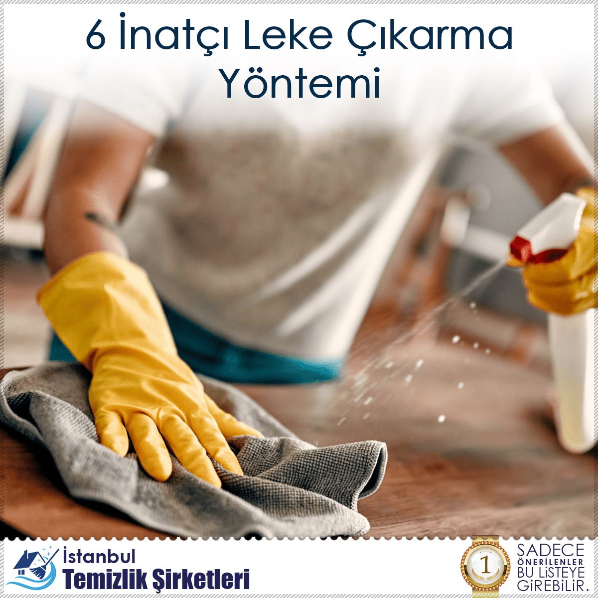 6 İnatçı Leke Çıkarma Yöntemi : Kapak Görseli