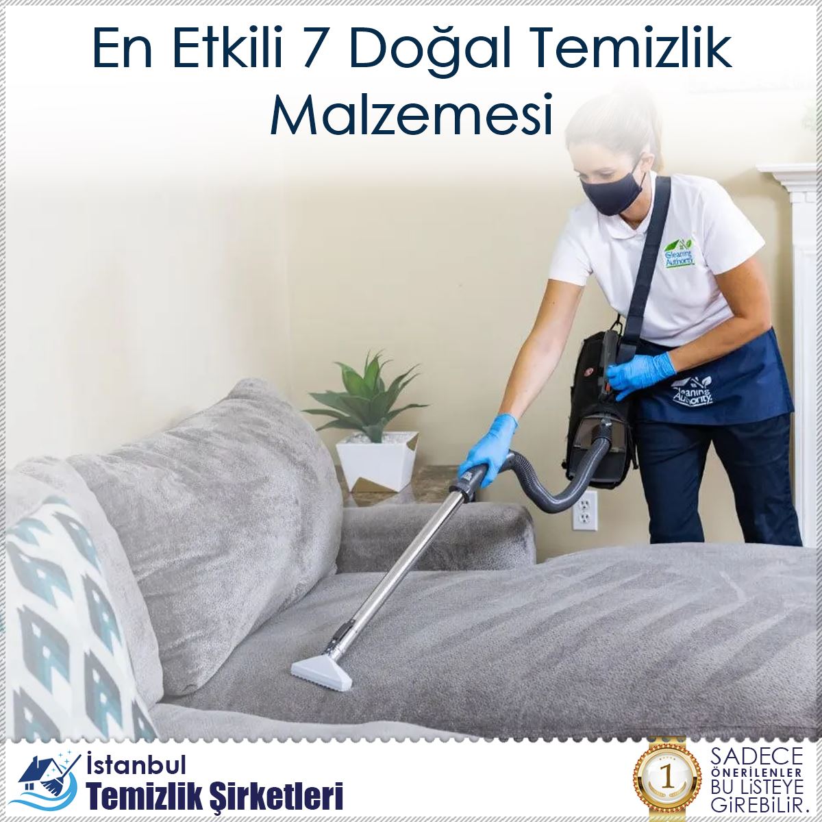 En Etkili 7 Doğal Temizlik Malzemesi : Kapak Görseli